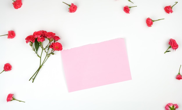 Hoja de papel vacía y florecientes capullos de rosas rosadas