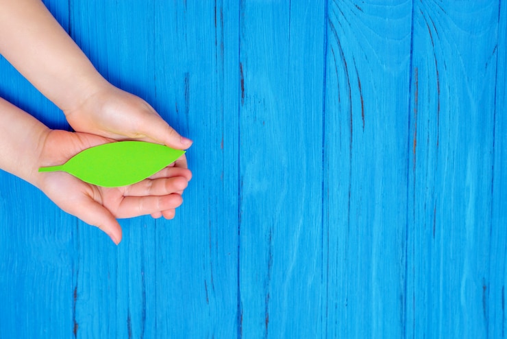 Foto hoja de papel verde en manos del niño.