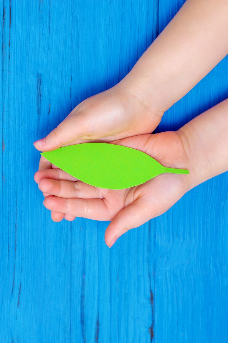 Foto hoja de papel verde en manos de niño
