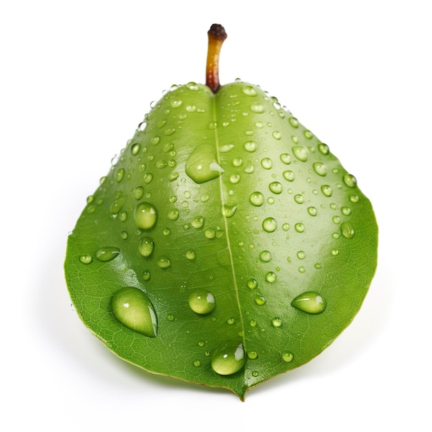 Hoja de pera verde aislada sobre fondo blanco generar ai