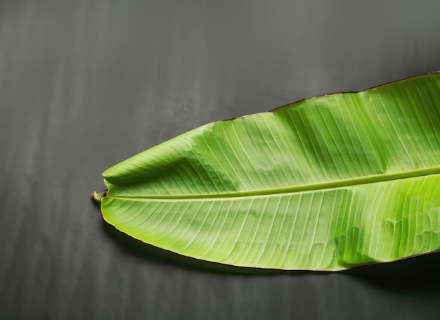 Hoja de plátano en blanco tradicional con especias en fondo oscuro con espacio para el texto AI Generado