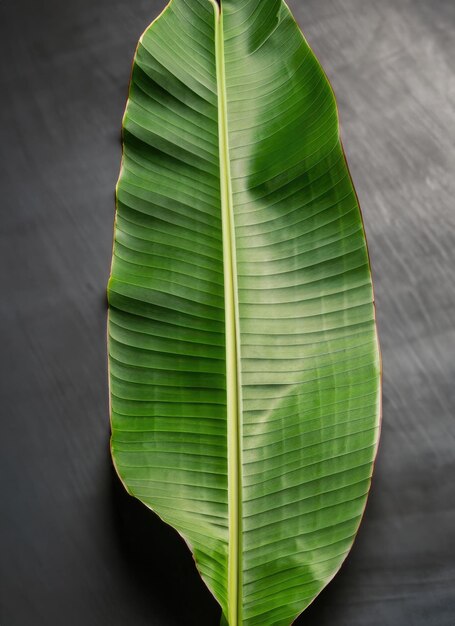 Hoja de plátano en blanco tradicional con especias en fondo oscuro con espacio para el texto AI Generado