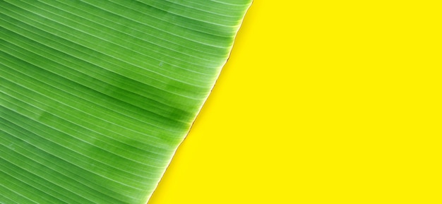 Foto hoja de plátano sobre fondo amarillo.