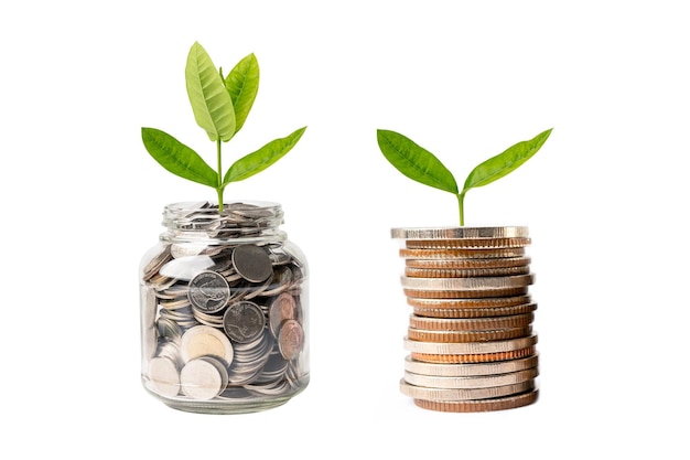 Hoja de plúmula de árbol en monedas para ahorrar dinero Concepto de inversión bancaria de ahorro de finanzas empresariales
