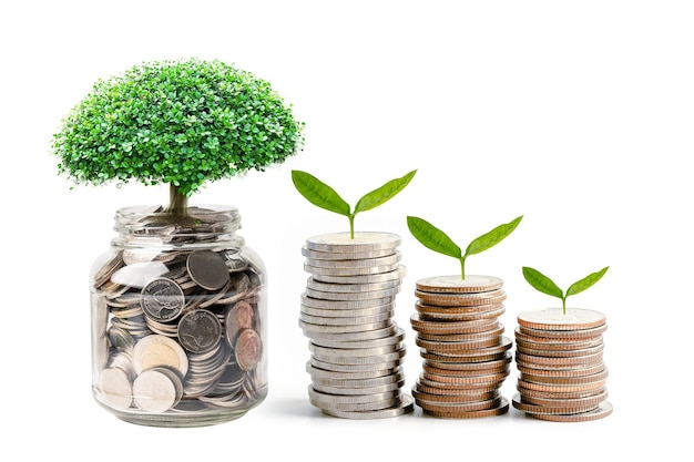 Hoja de plúmula de árbol en monedas de ahorro de dinero Concepto de inversión bancaria de ahorro de finanzas empresariales