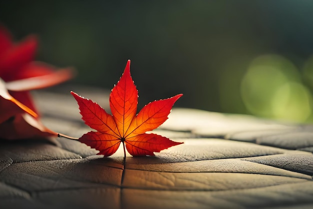 Una hoja roja sobre una superficie de cuero con un fondo verde