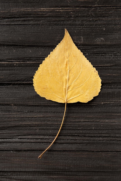 Foto hoja seca de otoño en la vista superior de fondo de madera