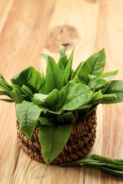 Hoja de té en arco de ratán sobre mesa de madera