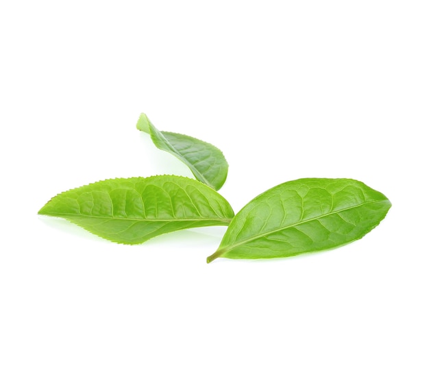 Hoja de té verde aislado sobre fondo blanco.