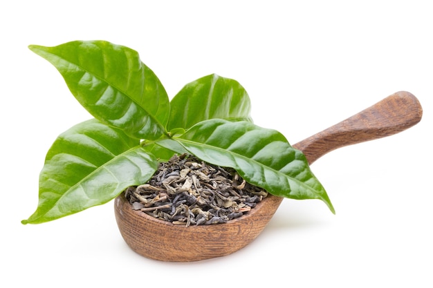 Hoja de té verde la cuchara aislada