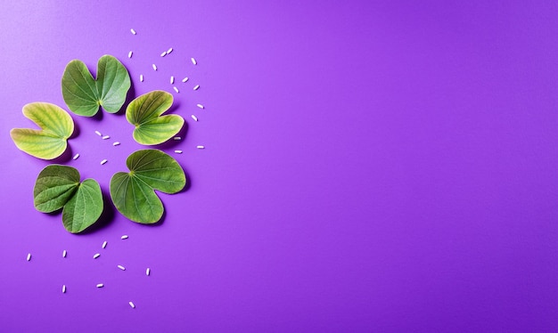 Hoja verde y arroz sobre fondo morado pastel. Concepto de festival indio de Dussehra.