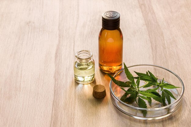 Hoja verde de cannabis en placa de Petri y aceite de cáñamo de agua en botella sobre fondo de mesa de madera