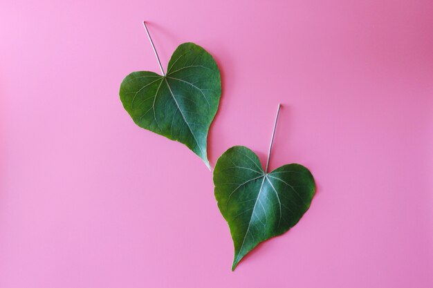 Hoja verde como corazón en el fondo de color rosa