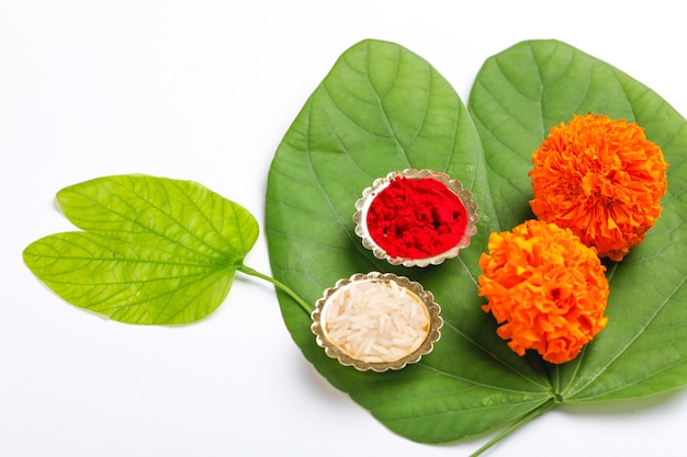 hoja verde y flor de caléndula