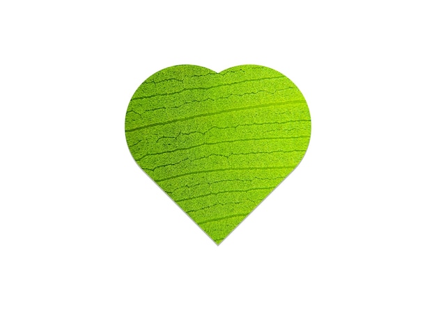 Hoja verde de forma de amor