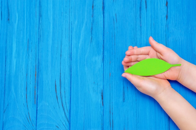 Hoja verde de papel en manos del niño.