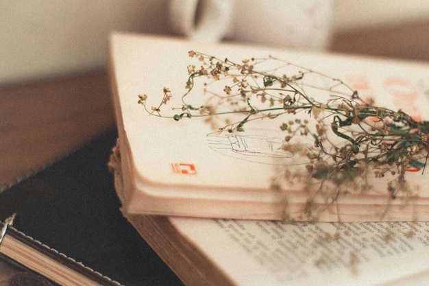 Hoja verde en una pila de libros Foto