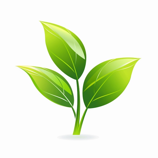 Una hoja verde que está sobre un fondo blanco.