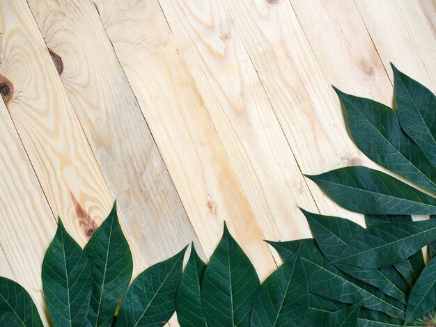 Hoja de yuca verde sobre fondo de madera, espacio de copia