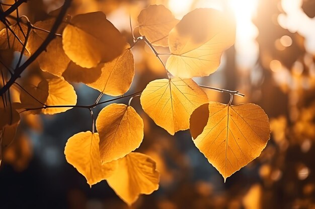 Foto hojas de abeto de otoño en las ramas de los árboles contra la luz del sol brillante ia generativa