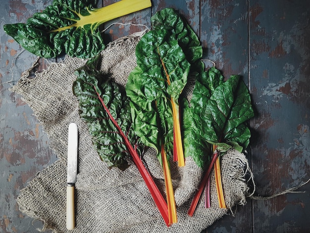 Hojas de acelgas orgánicas frescas del arco iris en la mesa de madera oscura, colorido concepto de comida saludable