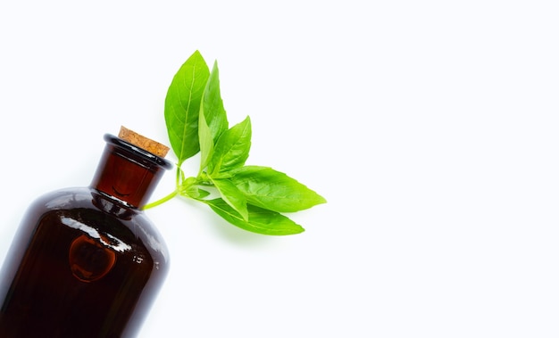 Hojas de albahaca con botella de aceite esencial en blanco aislado.