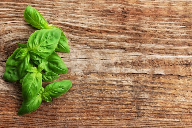 Hojas de albahaca fresca sobre fondo de madera