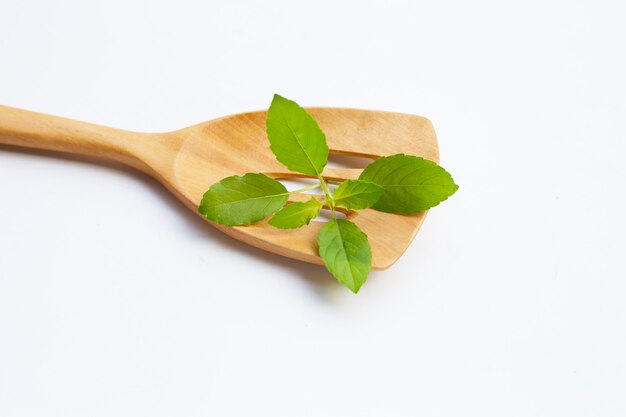 Hojas de albahaca santa en espátula de madera sobre blanco