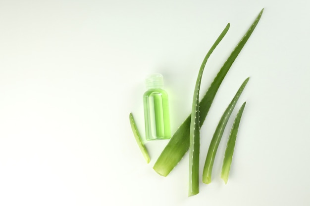 Hojas de aloe y botella con gel sobre fondo blanco.