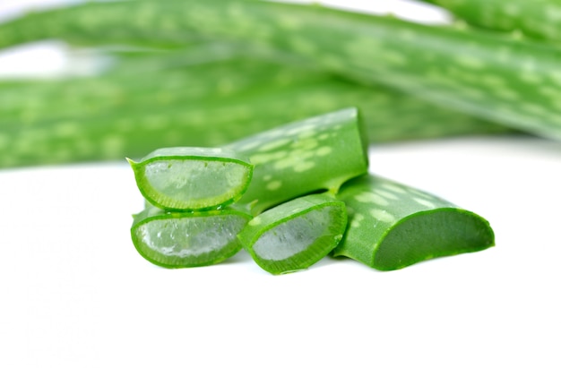 Hojas de aloe vera y rodajas aisladas en blanco