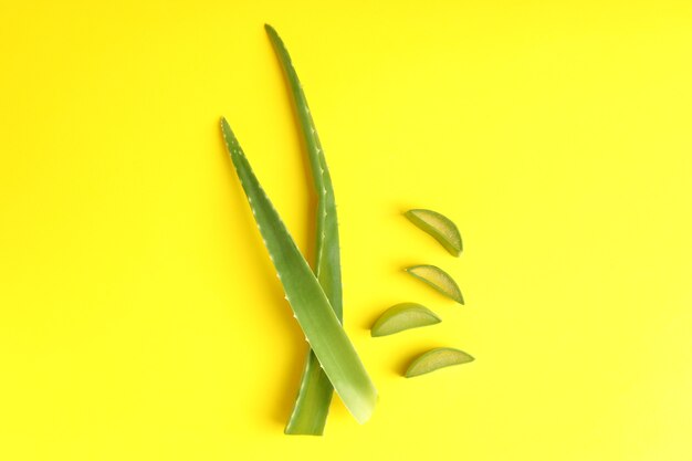 Hojas de aloe vera y rodajas sobre fondo amarillo