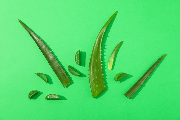 Hojas de aloe vera y rodajas en la tabla de colores