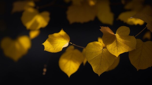 Hojas amarillas de Ember de otoño sobre un fondo oscuro