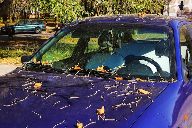 Foto hojas amarillas de otoño en el capó de un coche