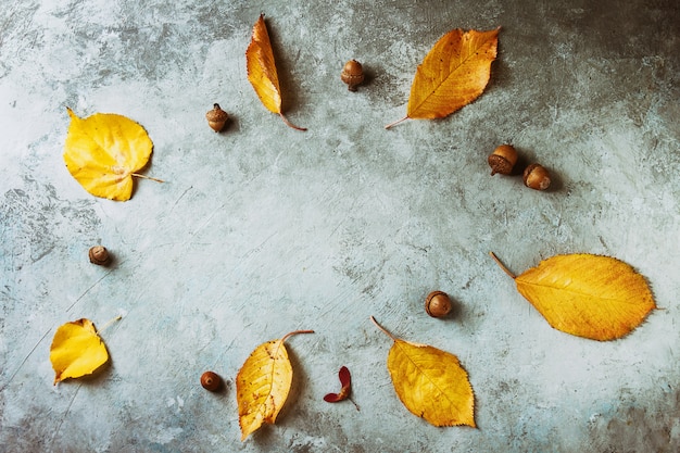 Hojas amarillas de otoño