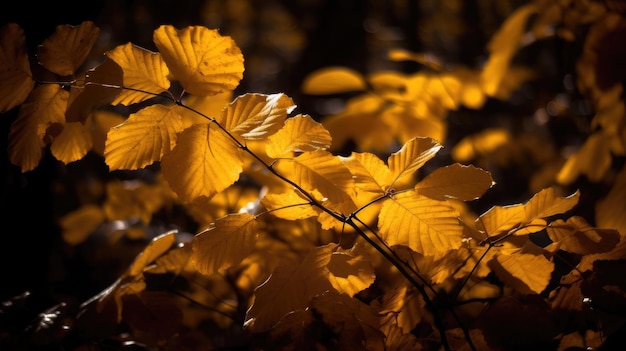 Hojas amarillas de otoño