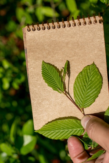 Foto hojas de árbol sobre una página de cuaderno