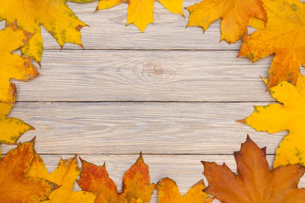 Hojas de arce coloridas en el fondo de madera. Fondo de otoño.