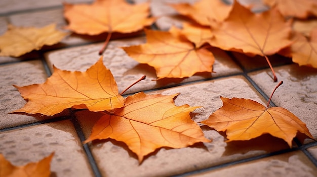 Foto las hojas de arce secas caen sobre el pavimento de azulejos