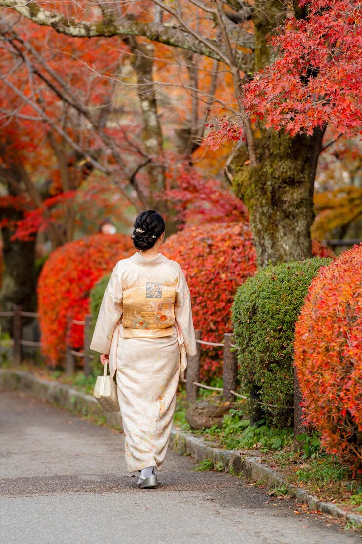Las hojas de arce se vuelven rojas en la temporada de otoño en Kioto Vista posterior de una mujer con kimono japonés