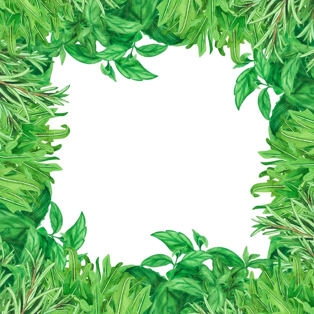 Hojas de aroma verde Marco con hierba fresca albahaca romero aislado sobre fondo blanco acuarela dibujo a mano boceto botánico ilustración diseño de arte diseño de cocina diseño de menú decoración gráfico elegante