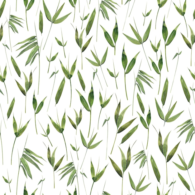 Hojas de bambú y ramitas sobre un fondo blanco Ilustración de acuarela Patrón sin costuras Para telas textiles cubiertas de papel tapiz impresiones papel de embalaje scrapbooking ropa ropa de cama