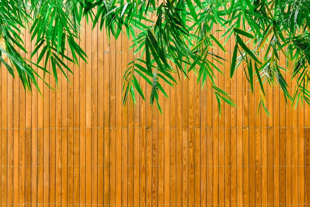 Hojas de bambú verde y placas de madera.