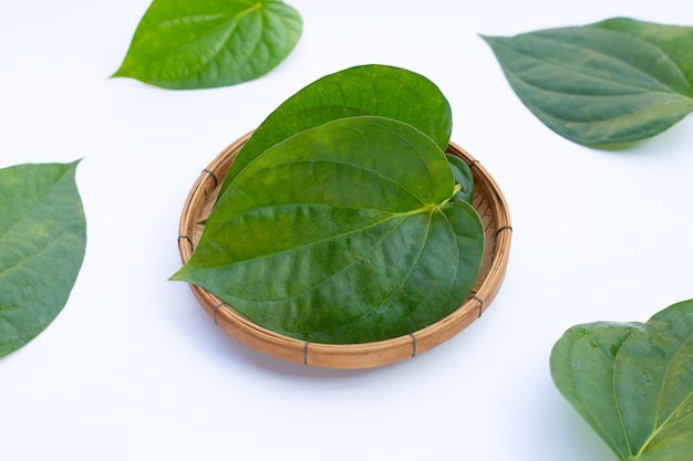 Hojas de betel verde, Piper betle fresco sobre fondo blanco.