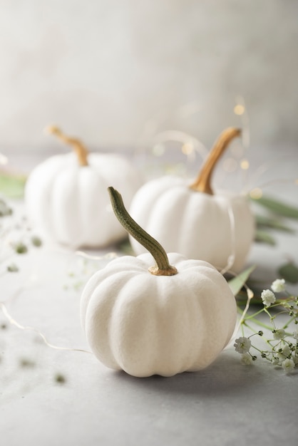 Hojas y calabazas blancas de alto ángulo