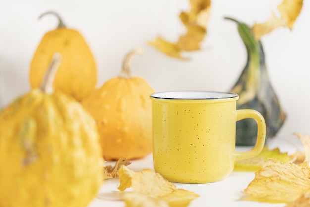 Hojas de calabazas pequeñas y taza en blanco Bebidas calientes de otoño y temporada