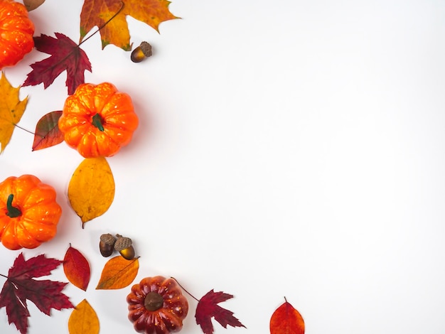 Hojas y calabazas en una vista de fondo claro desde arriba Diseño para diferentes propósitos