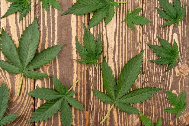 Hojas de cannabis verde sobre fondo de madera El cultivo de marihuana medicinal Concepto de medicina alternativa