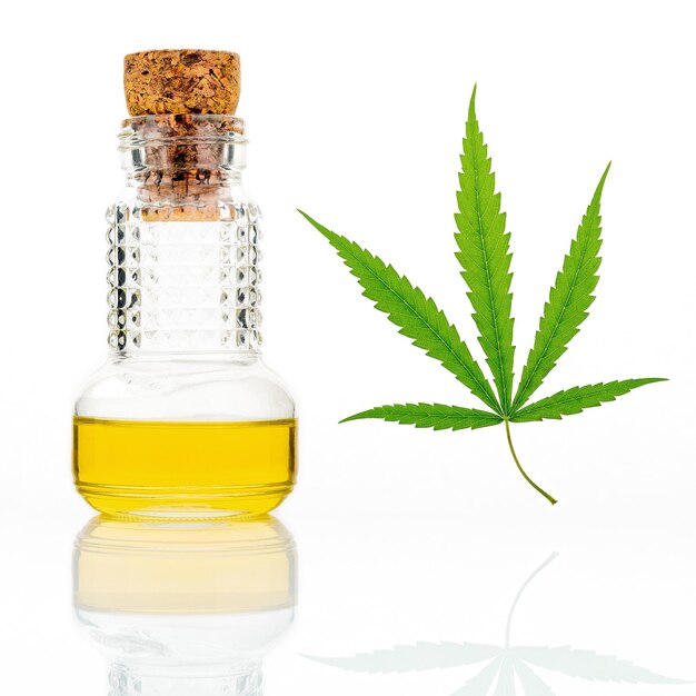 Hojas de cannabis verdes con botella de vidrio de reflejo de aceite de cannabis aislado sobre un fondo blanco cáñamo de marihuana Cannabis sativa o Cannabis indica