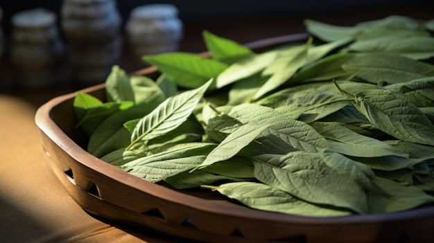 hojas de coca verdes generativas ai